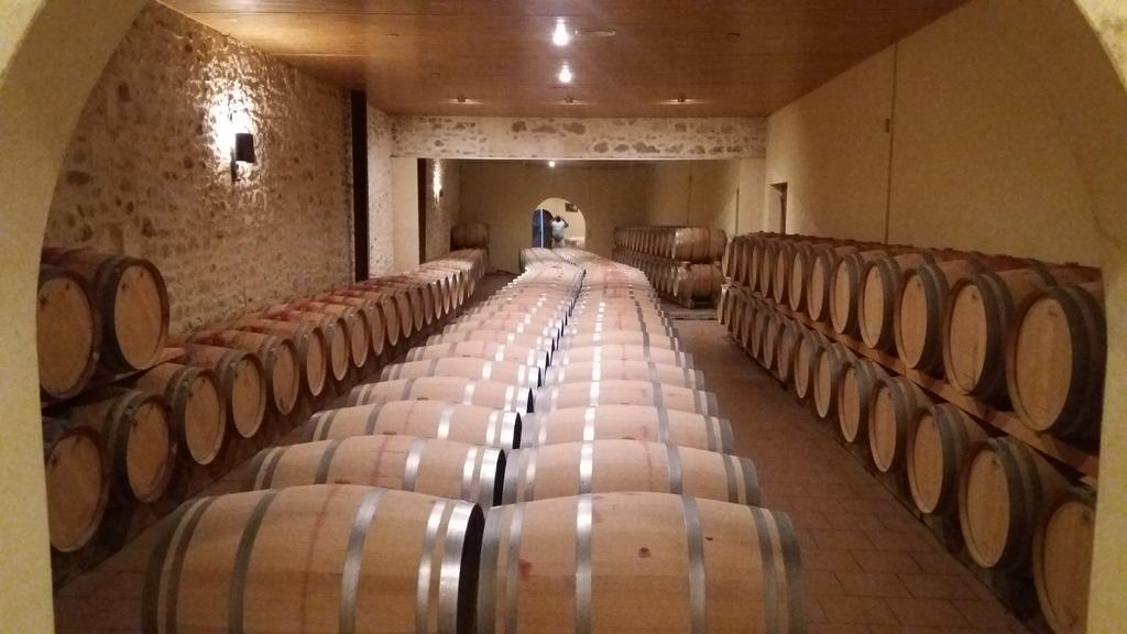 مبيت وإفطار Lesparre-Médoc Domaine Du Papillon المظهر الخارجي الصورة
