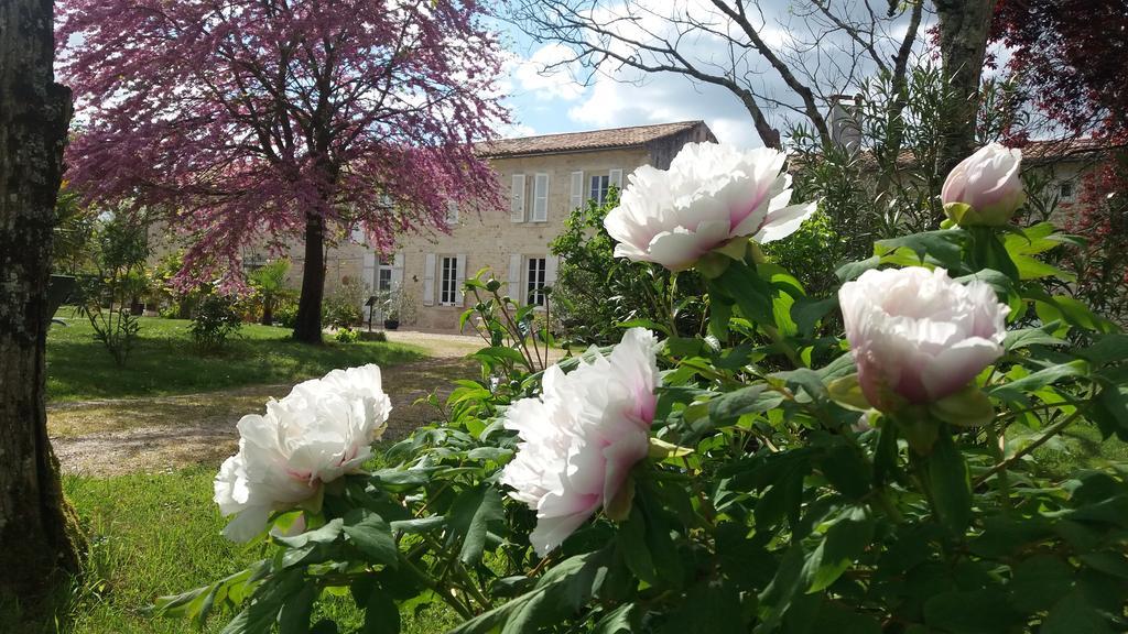 مبيت وإفطار Lesparre-Médoc Domaine Du Papillon المظهر الخارجي الصورة